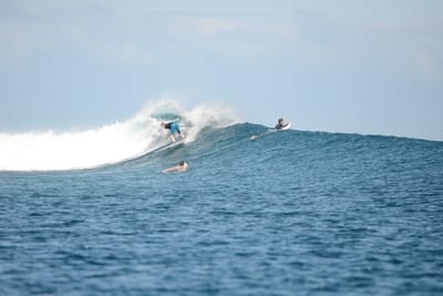 DSC_0615.JPG