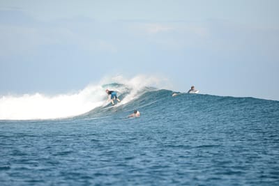 DSC_0616.JPG