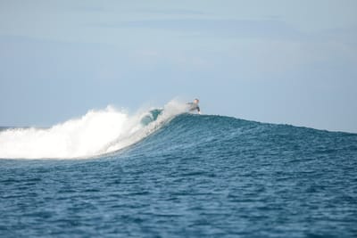 DSC_0618.JPG