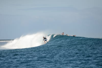 DSC_0620.JPG