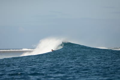 DSC_0621.JPG