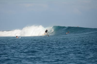 DSC_0622.JPG