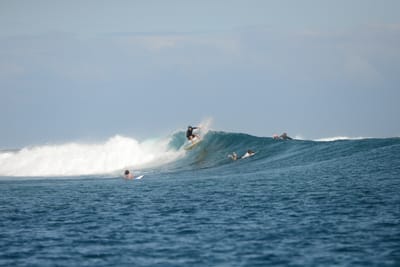 DSC_0623.JPG