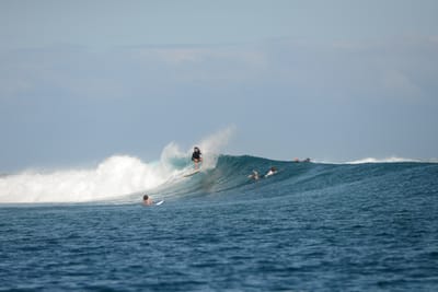 DSC_0624.JPG