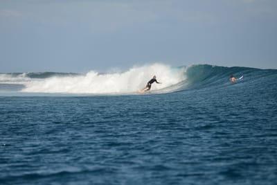 DSC_0625.JPG