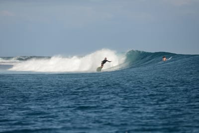 DSC_0626.JPG