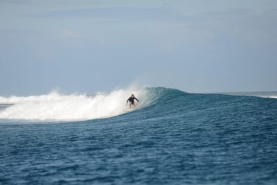 DSC_0628.JPG