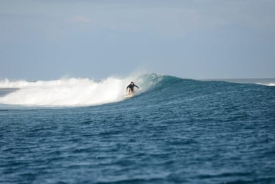 DSC_0629.JPG