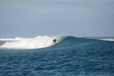 DSC_0630.JPG
