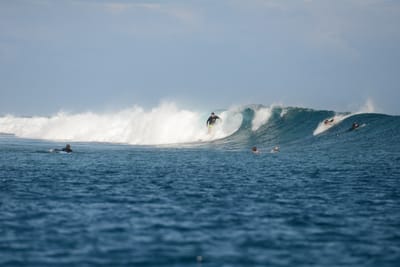 DSC_0631.JPG