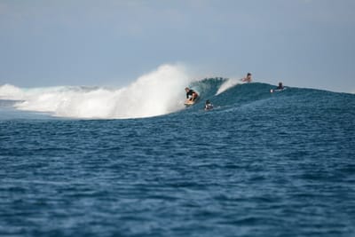 DSC_0634.JPG