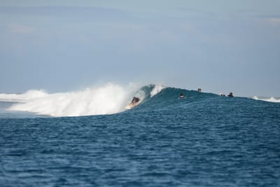 DSC_0635.JPG