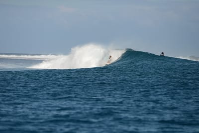 DSC_0637.JPG
