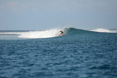DSC_0646.JPG
