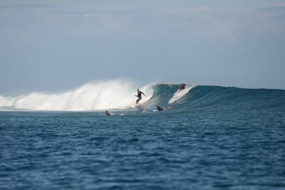 DSC_0647.JPG