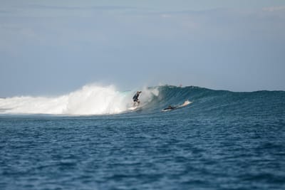 DSC_0649.JPG