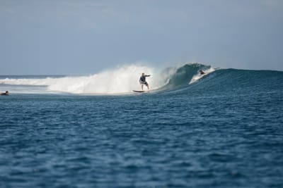 DSC_0650.JPG
