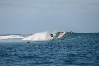 DSC_0651.JPG