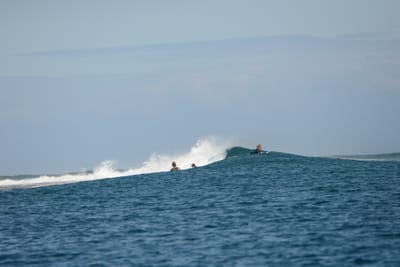 DSC_0654.JPG