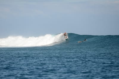DSC_0655.JPG