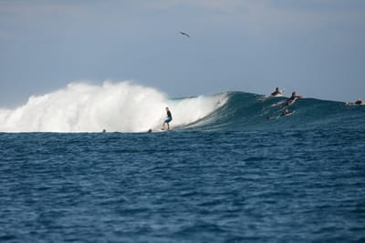 DSC_0663.JPG