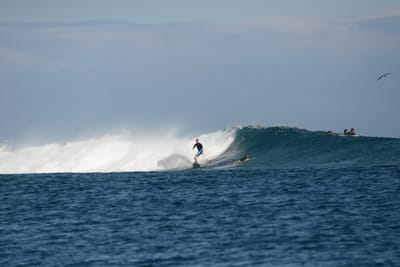 DSC_0664.JPG
