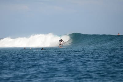 DSC_0666.JPG
