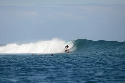 DSC_0667.JPG