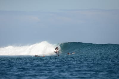 DSC_0668.JPG