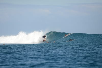 DSC_0670.JPG