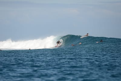 DSC_0672.JPG