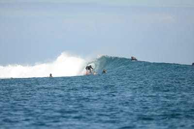 DSC_0674.JPG