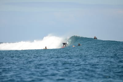 DSC_0675.JPG