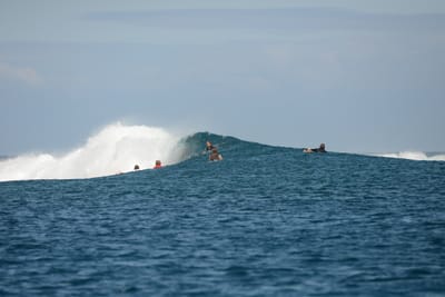 DSC_0677.JPG
