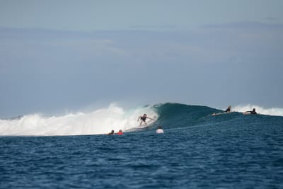 DSC_0678.JPG