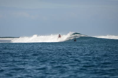 DSC_0681.JPG