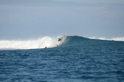 DSC_0684.JPG