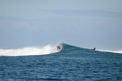 DSC_0685.JPG