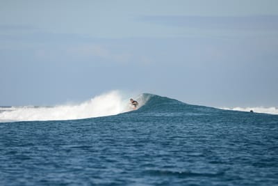 DSC_0686.JPG