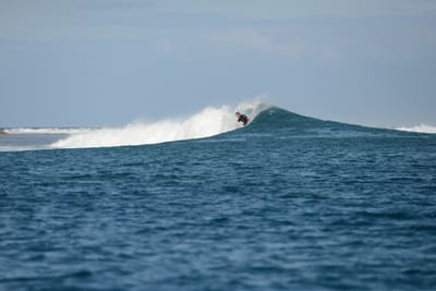 DSC_0687.JPG