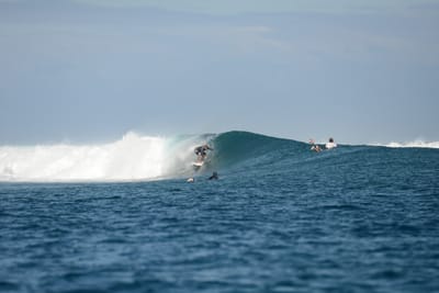 DSC_0689.JPG