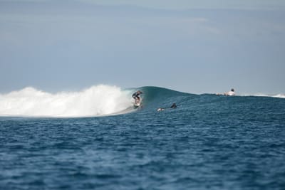 DSC_0692.JPG