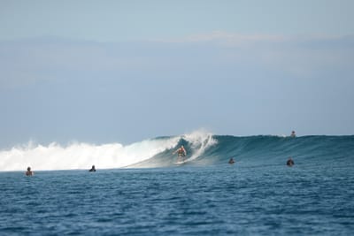 DSC_0693.JPG