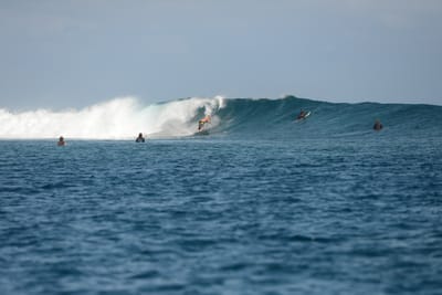 DSC_0694.JPG