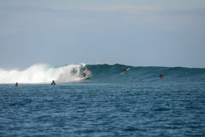 DSC_0695.JPG