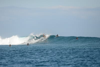 DSC_0696.JPG