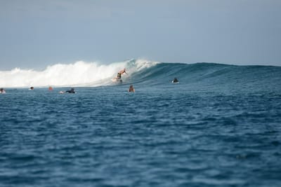 DSC_0698.JPG