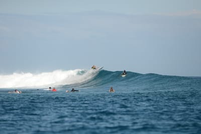DSC_0699.JPG