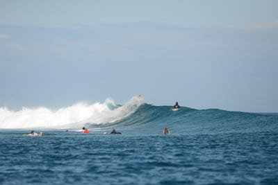 DSC_0700.JPG
