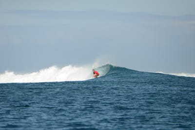 DSC_0701.JPG